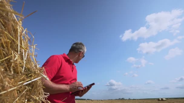 타블렛으로 밀 밭에서 있는 수컷 — 비디오