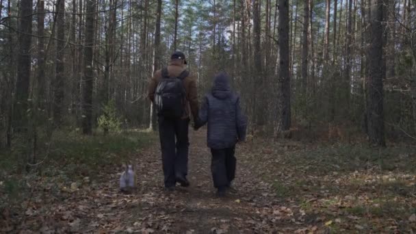 Padre e figlio che camminano e si tengono per mano lungo il sentiero forestale — Video Stock