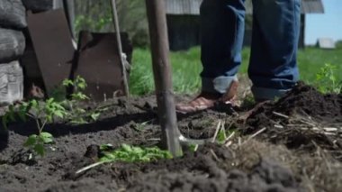 Çiftçi bahçe kazıyor, güneş ışığı altında kürek tutuyor.