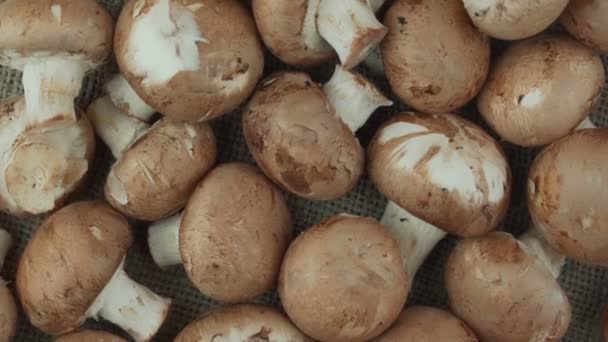 Champignon mushrooms crop rotate in heap on textile background — Stockvideo