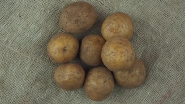 Raw unwashed potatoes pile rotate isolated on rough sacking material — Stockvideo