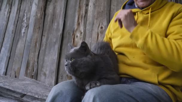 Verouderde man met brede vrolijke glimlach streelt grijze kat op rug — Stockvideo
