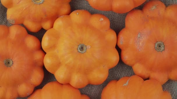 Group of yellow pattypan kind of pumpkin vegetable rotate top view — 图库视频影像