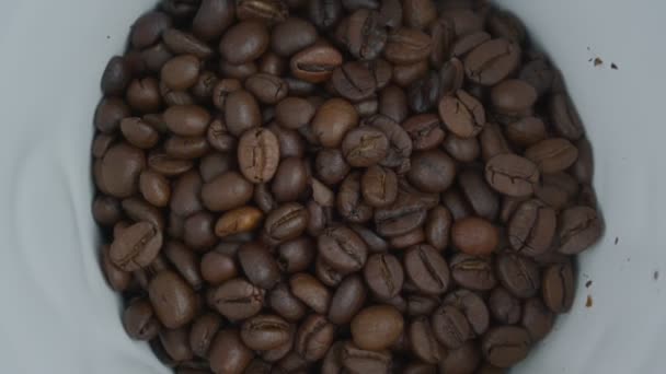 Roasted brown coffee beans rotate into white ceramic coffee machine part — Video