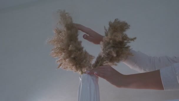 Dry plant with fluffy leaves stands on table at apartment against empty wall. — Stockvideo