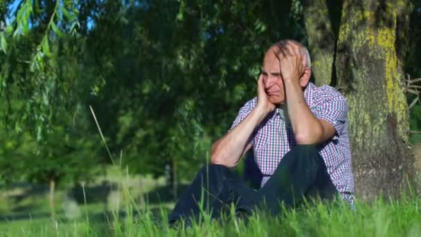 Depressed senior gentleman holds head by old tree in park — Stock Video