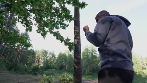 Чоловічі боксерські поїзди в природі практикують удари — стокове відео