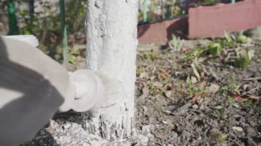 Bahçıvan beyaz koruyucu eldiven giyip ağaç kabuğu boyadı.