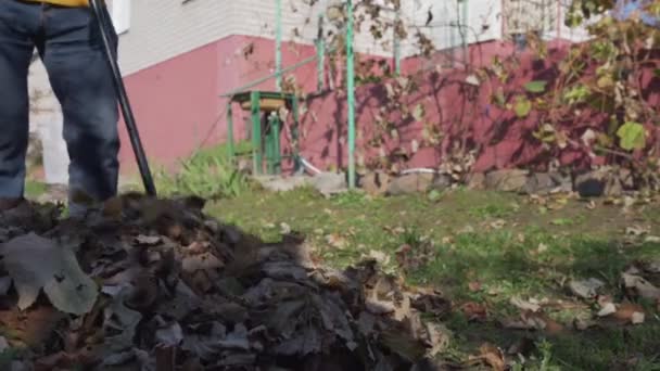 Janitor wearing jeans and yellow hoodie sweeping dried foliage — Stock Video