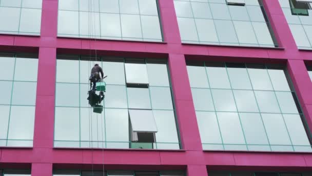 高さと洗濯窓に取り組むヘルメットの工業用アルピニスト — ストック動画
