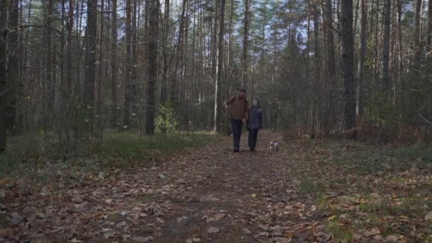 Homme adulte avec son fils marchant sur le sentier forestier à l'automne. — Video