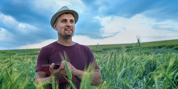 Щасливий позитивний фермер у капелюсі, що стоїть на пшеничному полі і розраховує на планшет Ліцензійні Стокові Фото