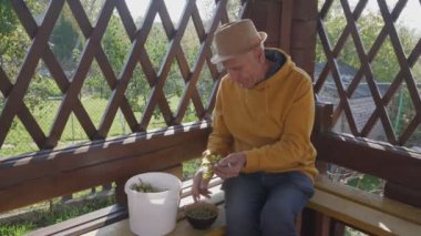 Yetişkin bahçıvan şapka takıyor, kovanın yanındaki tahta bankta üzümlü oturuyor.