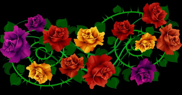 Roses and thorns — Stock Photo, Image