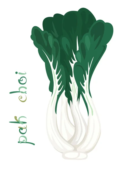 Pak choi — Stok Vektör