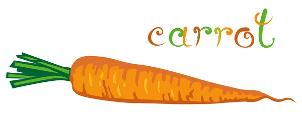 Carota — Vettoriale Stock