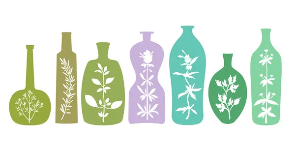 Ароматические травы в бутылках — стоковый вектор