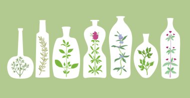 aromatik bitkiler ve şişeler silhouettes
