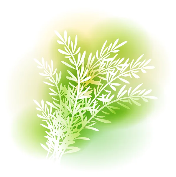 Illustration With Rosemary — Stock Vector