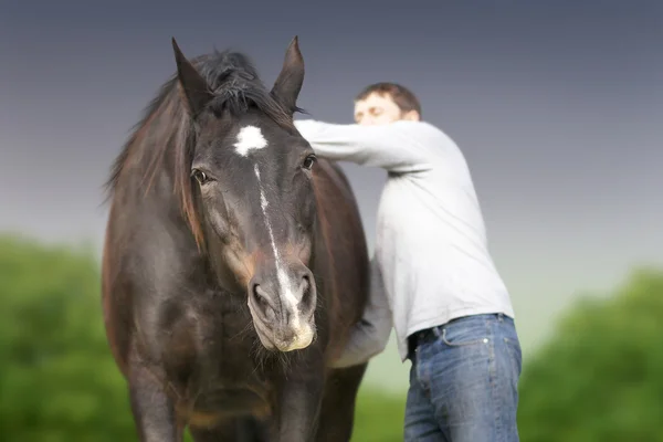 Paard en mens — Stockfoto