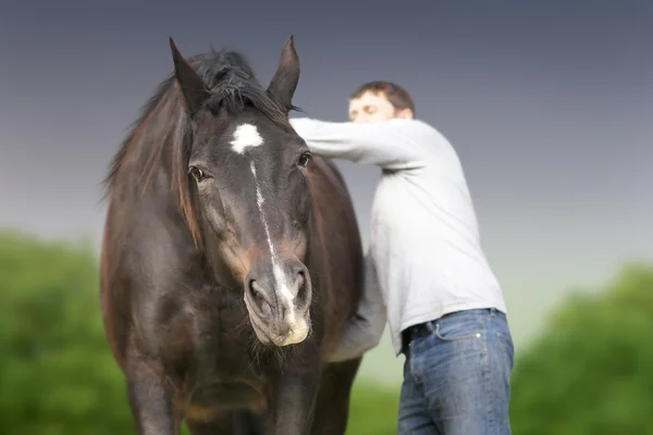 Caballo y hombre — Foto de Stock