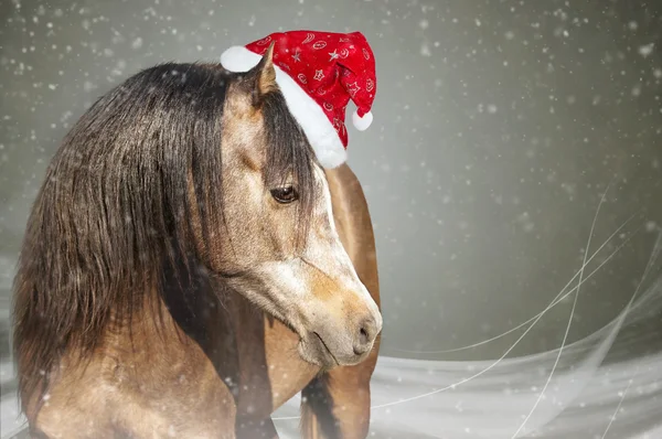 White christmas horse with santa hat on gray background snowfall
