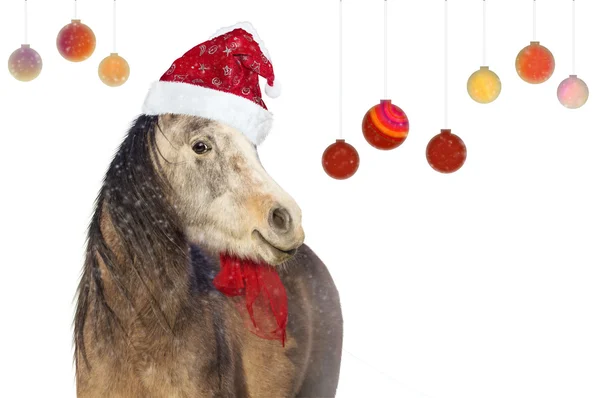 Bruin paard witte kerst hoed en Kerstmis ballen op witte achtergrond — Stockfoto