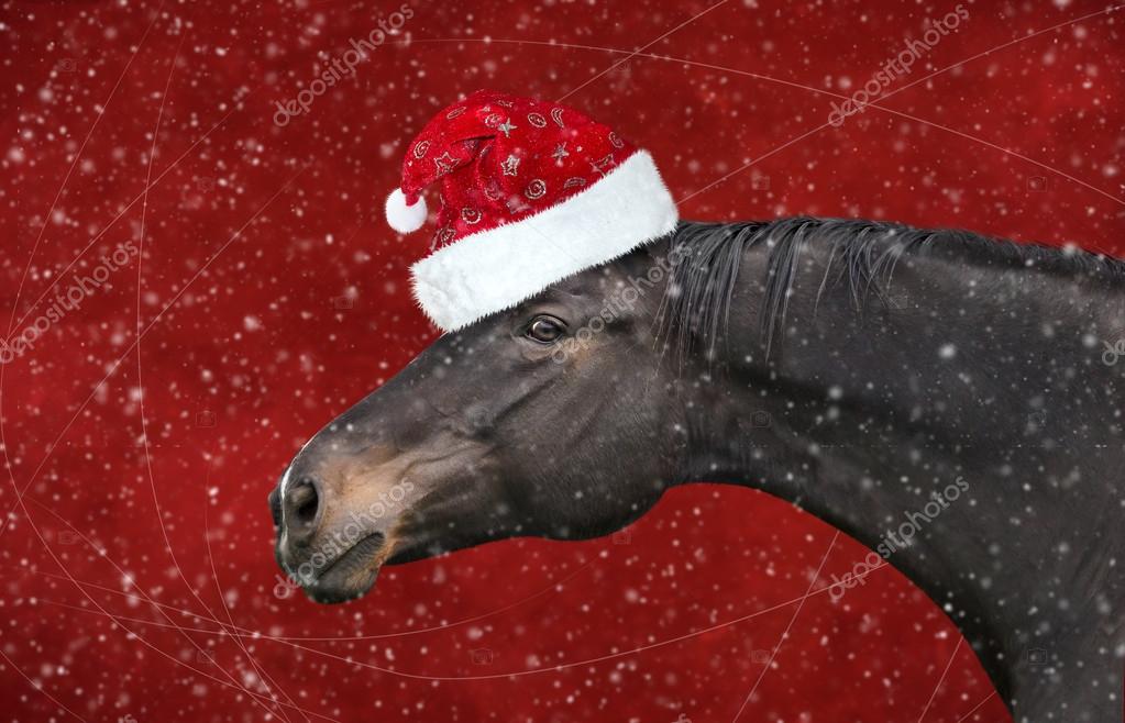 horse christmas hat