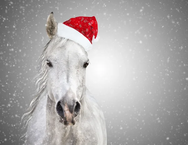 Cheval de Noël blanc avec chapeau de Père Noël sur fond gris chutes de neige — Photo