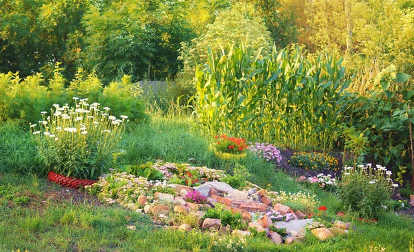 Sunny rock garden — Stock Photo, Image