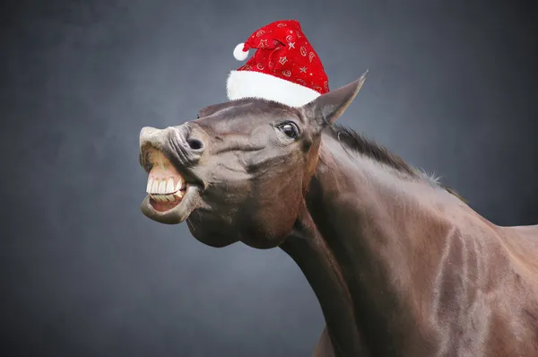 Weihnachtspferd mit Hut Stockbild