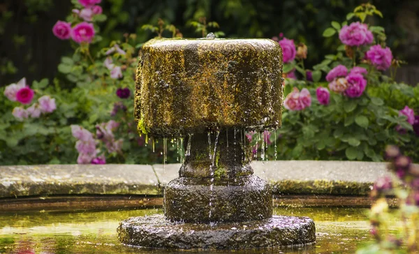 Antique fountain on background of roses — Stock Photo, Image