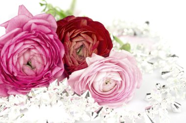 pembe ranunkeln buttercup kristal