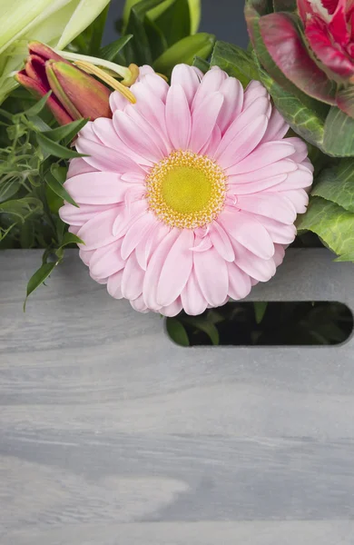 Gerbera rose en bouquet en coffret bois — Photo