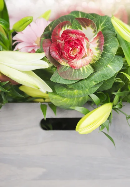Ornamental cabbage with lilies in box — Stock Image Ornamental cabbage with lilies in box Stock Picture