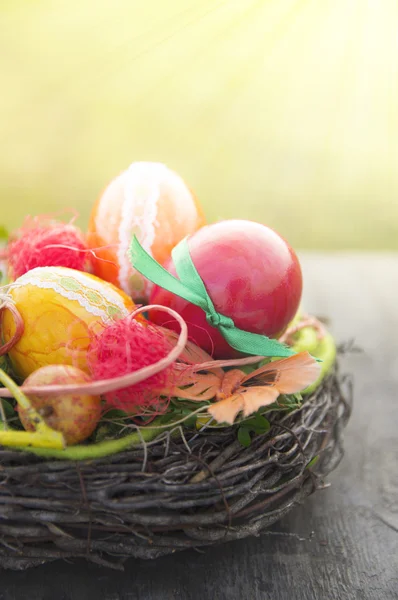 Easter eggs in nest in sunshine — Stock Photo, Image