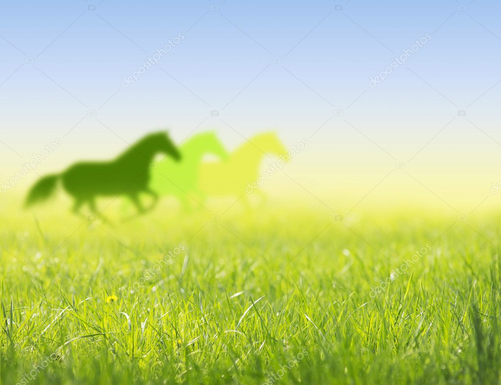 Horses run on spring field