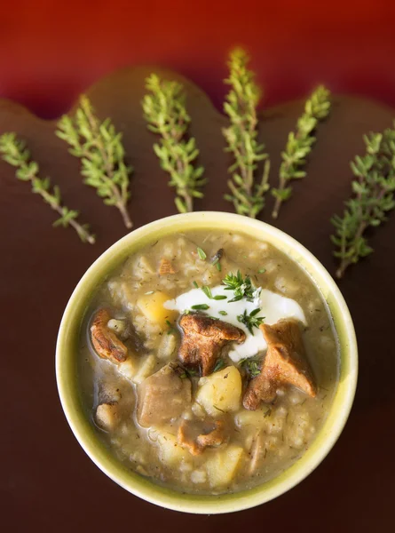 Soup of wild mushrooms with cream and thyme on brown board — Stock Photo, Image