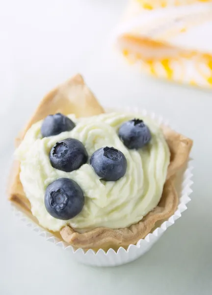 Blueberry tart kremem vanila — Zdjęcie stockowe