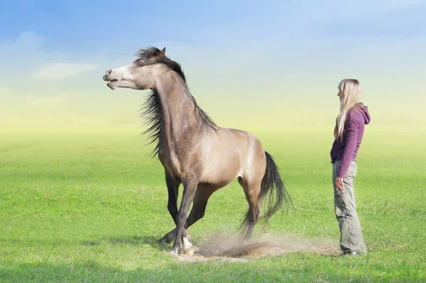 Kvinna i lila tröja och leka häst, horsemanship, på Sommaräng — Stockfoto