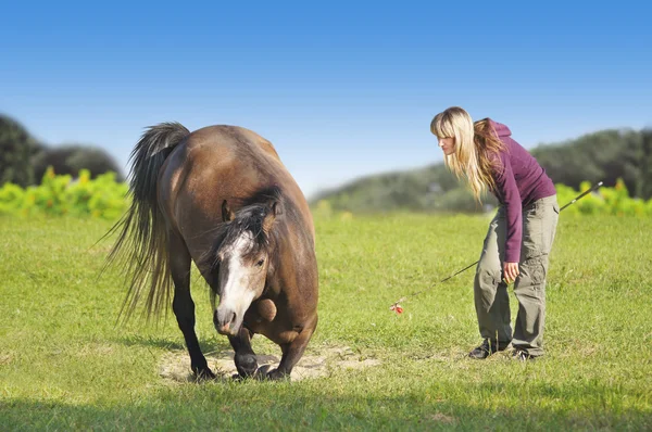 Woman with blond hair lays horse,horsemanship, on green field — Stock Photo, Image