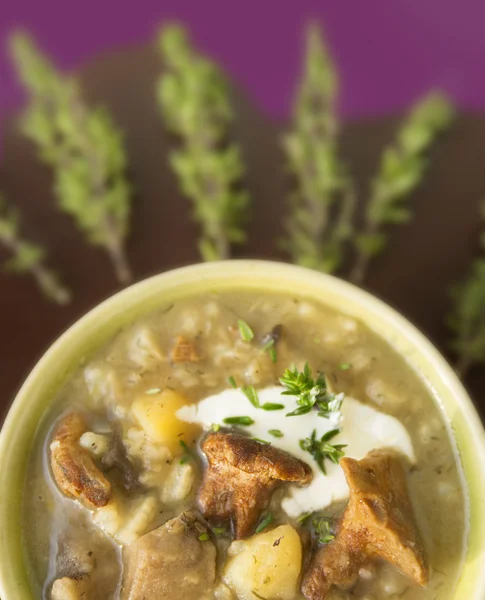 Rice mushroom soup with thyme and chanterelle at lilac Brown background — Stock Photo, Image
