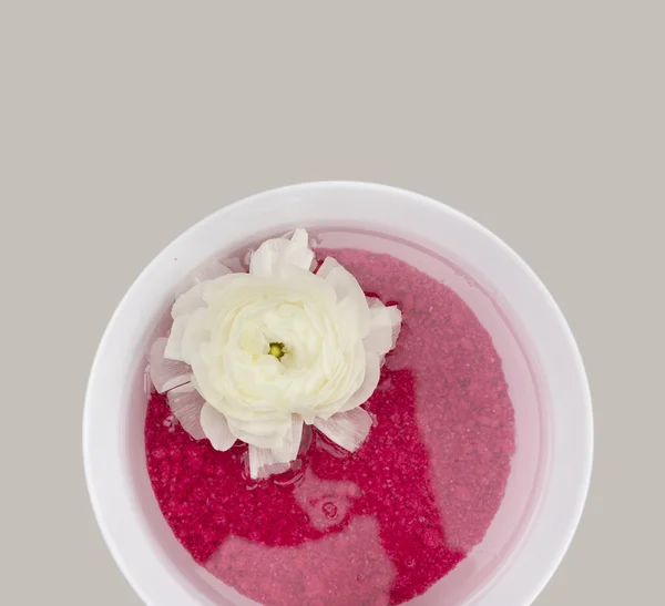 White Bowl with red water and buttercup,isolated on gray, isolated on gray — Stock Photo, Image