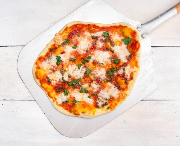 Hemmagjord pizza med tomater, basilika, kapers och mozarela skal, vit träbord, ovanifrån — Stockfoto