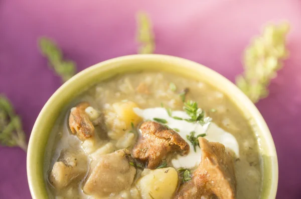 Mushroom soup with thyme — Stock Photo, Image