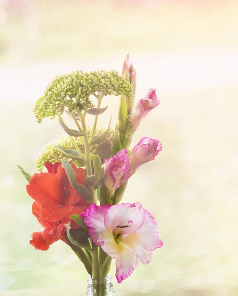 Letní rustikální kytice gladioly, tónování — Stock fotografie