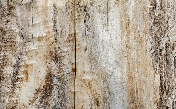 Textura de madera beige, álamo, fondo —  Fotos de Stock