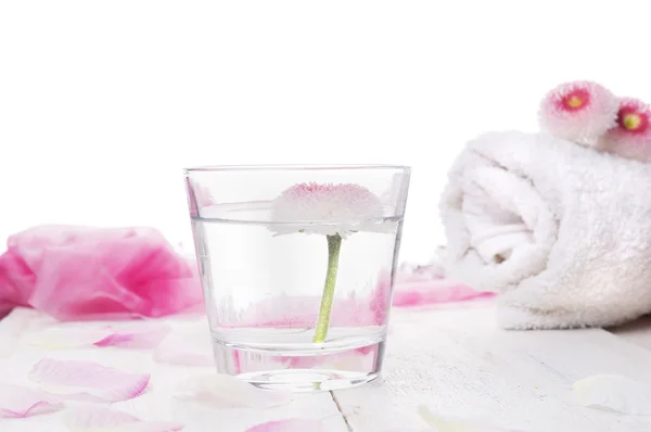 Pink daisy flowers in glass of water and Rolled white towel , isolated — Stock Photo, Image