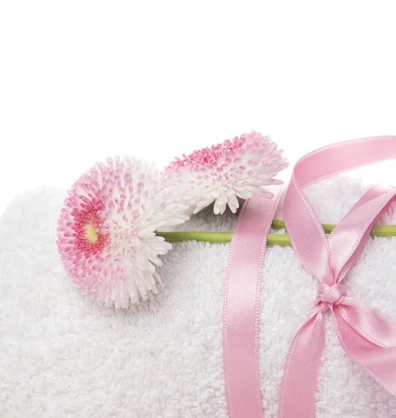 White rolled up towel with pink silk ribbon and daisies flowers, border,isolated — Stock Photo, Image