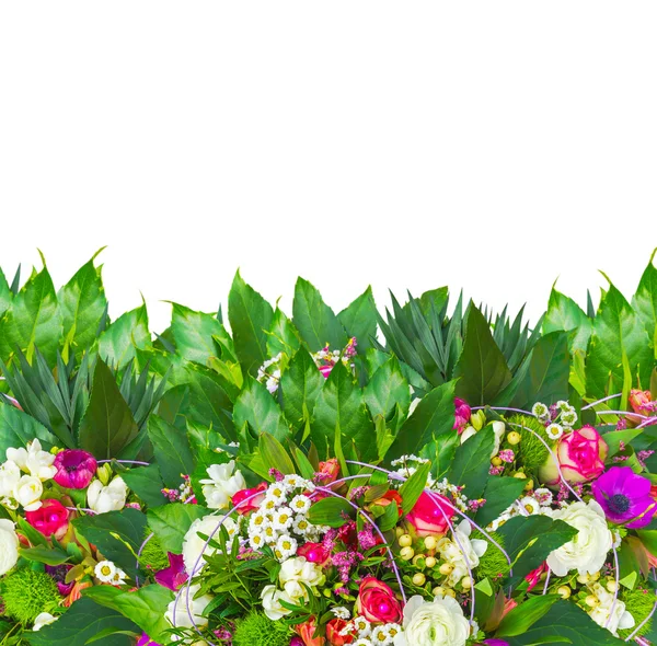 Fargerike blomster grenser til freesia, anemon, rose, tusenfryd, smørblomst, isolert – stockfoto